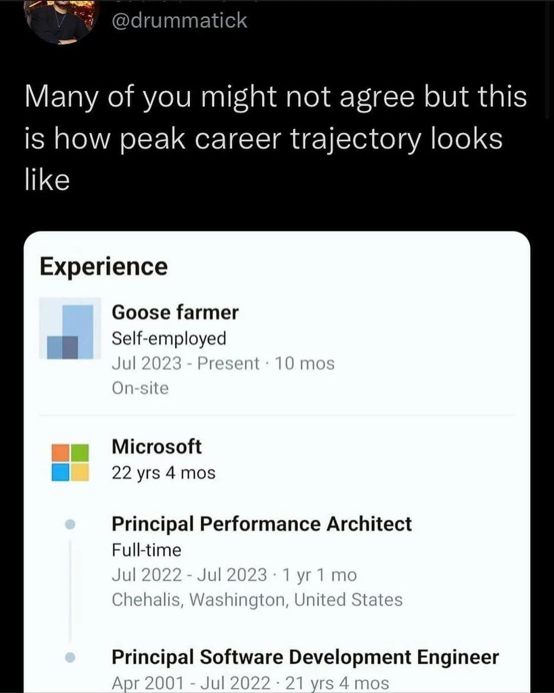 Tweet calling a LinkedIn profile peak career trajectory: 22 years at Microsoft as a principal engineer, followed by self-employed goose farmer